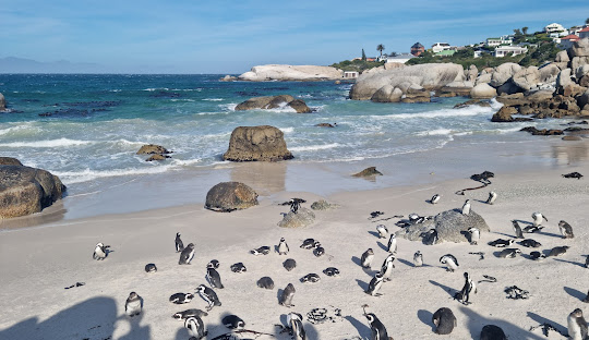 Nairobi & Cape Town
